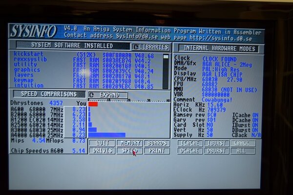 DSC_0450 (Small).JPG