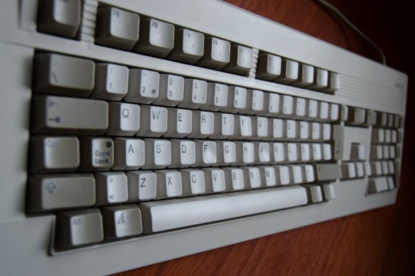 DSC_0462 (Small).JPG