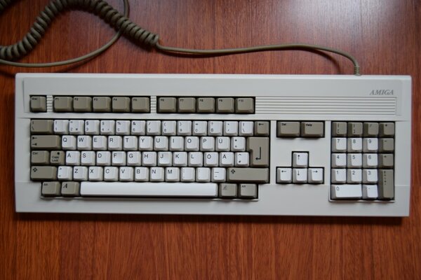 DSC_0461 (Small).JPG