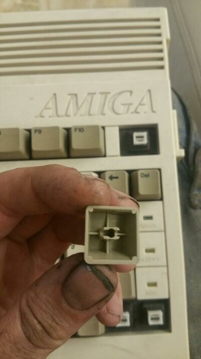 2016-07-29 20.55.12.jpg