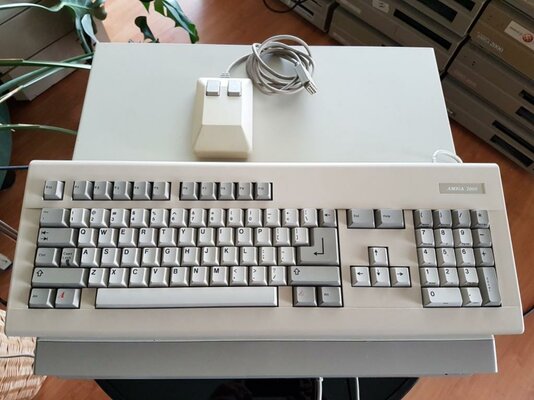 2016-09-04 15.18.30 (Medium).jpg