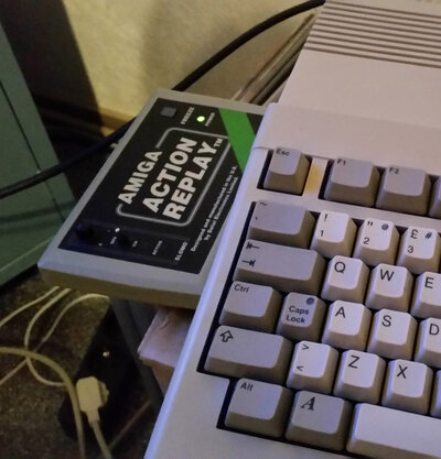 2016-11-10 19.26.17.jpg