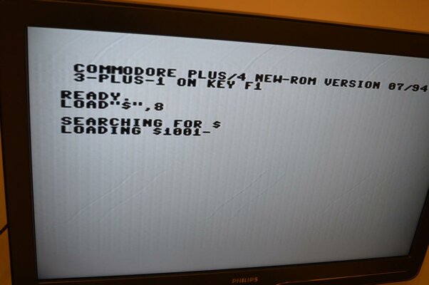 DSC_0941 (Kopiowanie).jpg