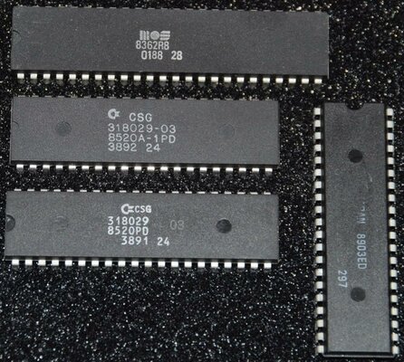 DSC_4900 (1024x919).jpg