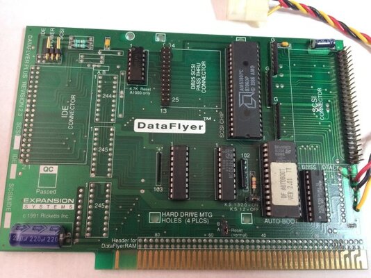 IMG_1283 (Small).JPG