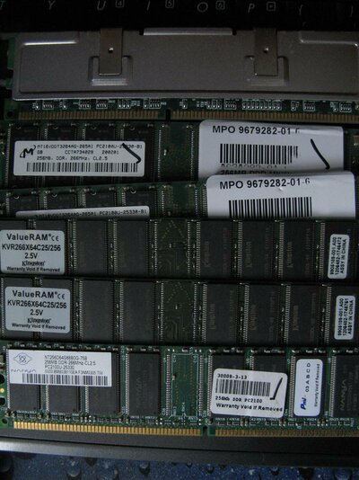 IMG_8795 (Custom).JPG