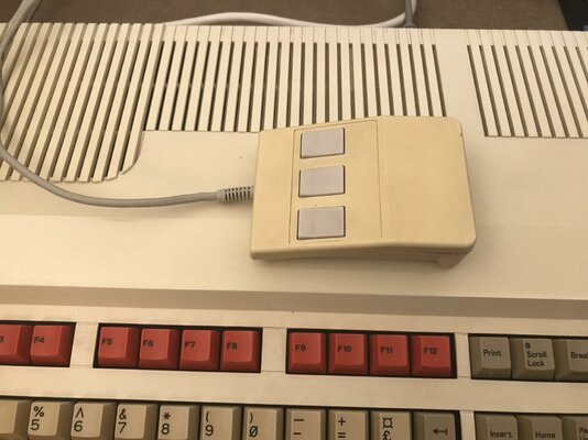 2017-11-24 13.24.45.jpg