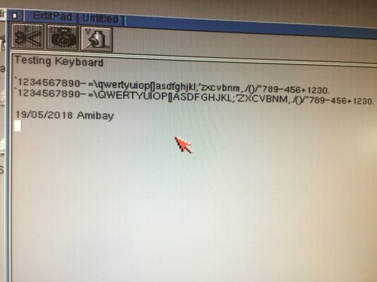 IMG_1037 (Small).JPG