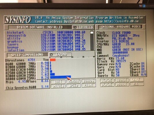 IMG_1038 (Small).JPG