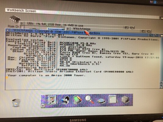 IMG_1036 (Small).JPG