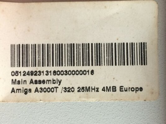 IMG_1035 (Small).JPG