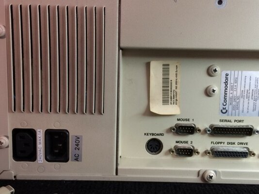 IMG_1034 (Small).JPG