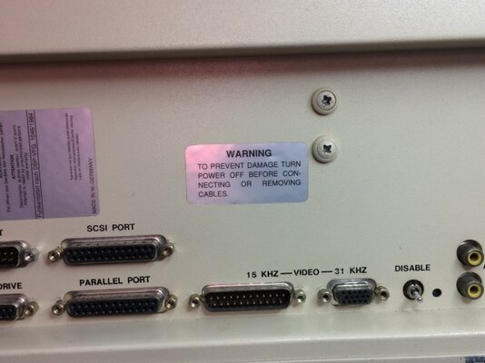 IMG_1033 (Small).JPG