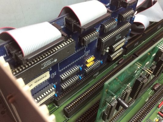 IMG_1031 (Small).JPG