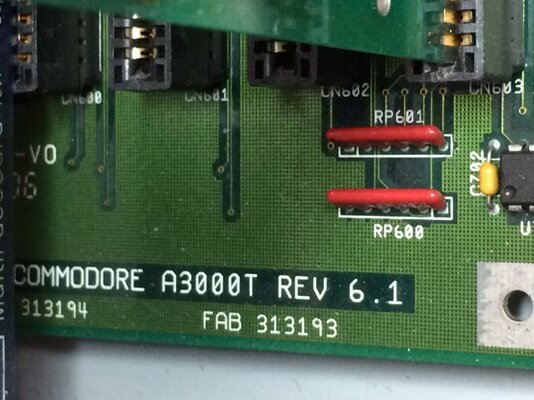 IMG_1029 (Small).JPG