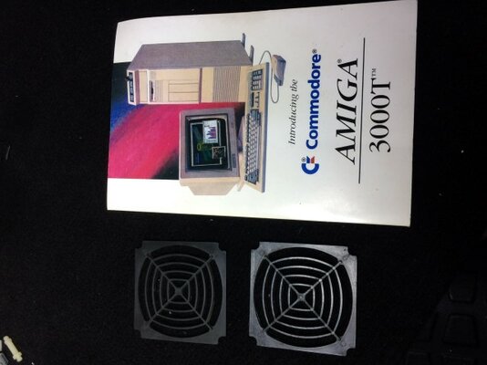 IMG_1068 (Small).JPG