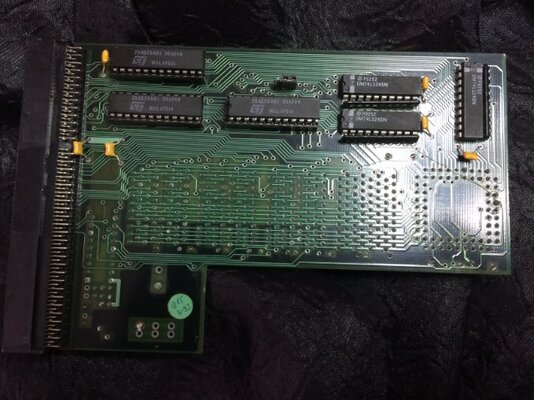 IMG_1154 (Small).JPG