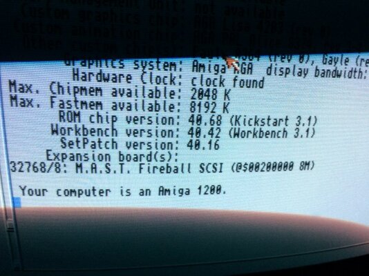 IMG_1145 (Small).JPG