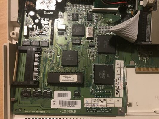 IMG_3453 - Kopie.jpg