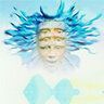 shponglefan