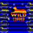 wildcopper