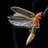 Firefly